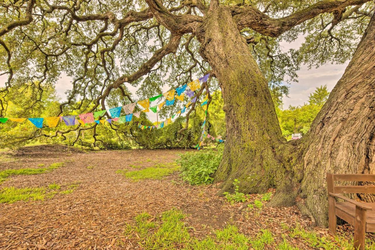 The Gathering Place Brenham Home On 6 Acres Ngoại thất bức ảnh